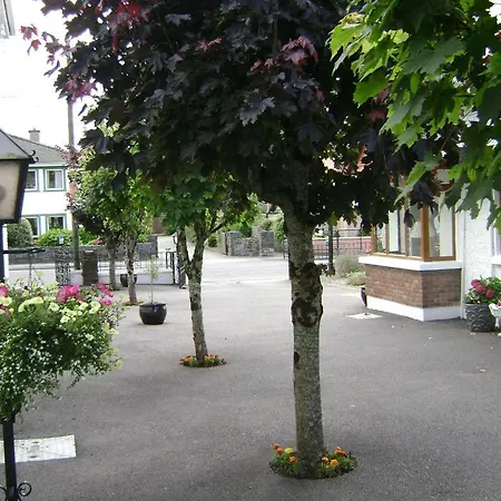 Saint Anthony's 3*